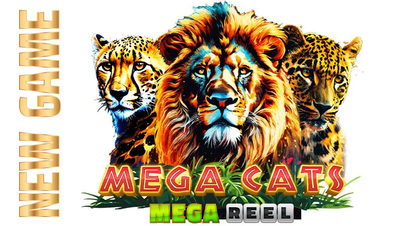 mega cats